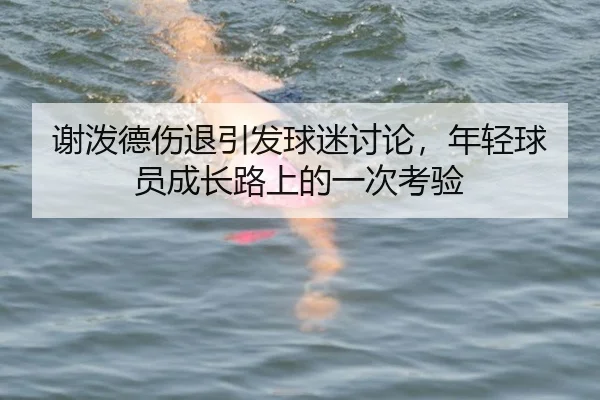 谢泼德伤退引发球迷讨论，年轻球员成长路上的一次考验 - xingkong